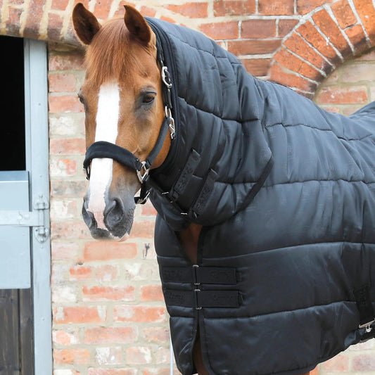 Liner Combo 100g – Sous-couverture respirante et isolante pour couverture cheval Premier Equine