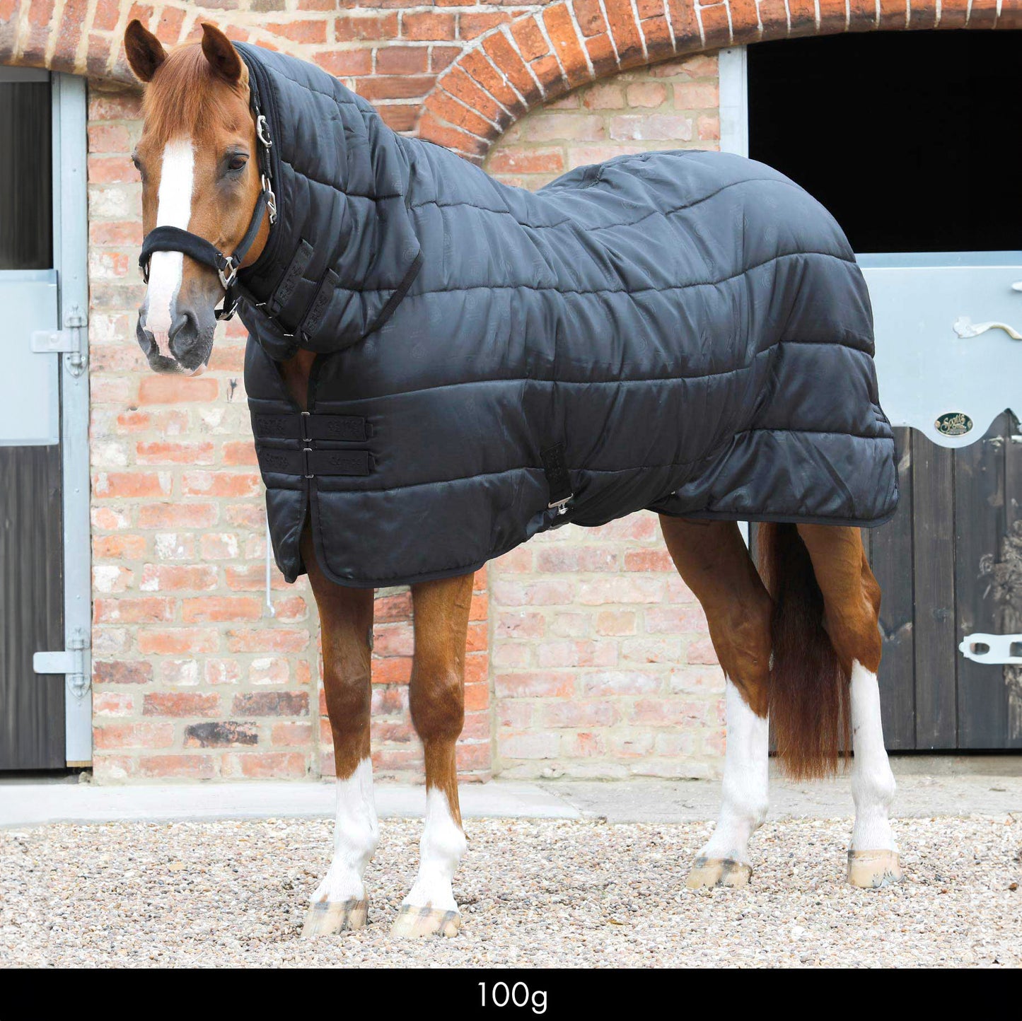 Liner Combo 100g – Sous-couverture respirante et isolante pour couverture cheval Premier Equine