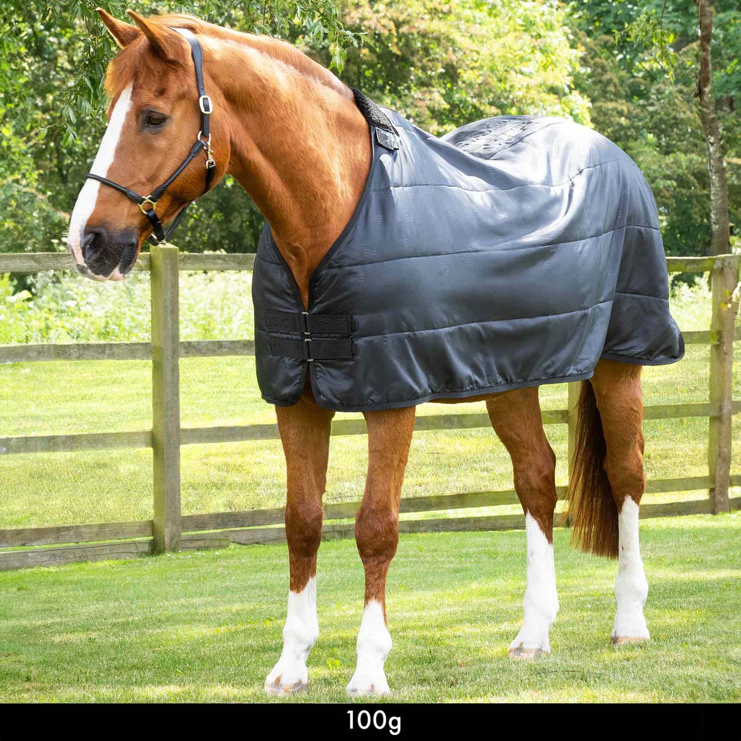 Liner 100g – Doublure matelassée légère et respirante pour couverture de cheval Premier Equine