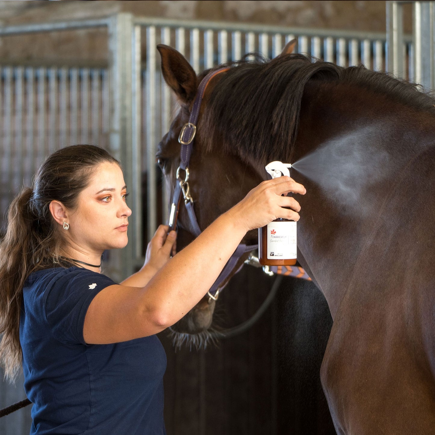 Spray répulsif cheval longue durée Farrierfly Force 2 – Michel Vaillant