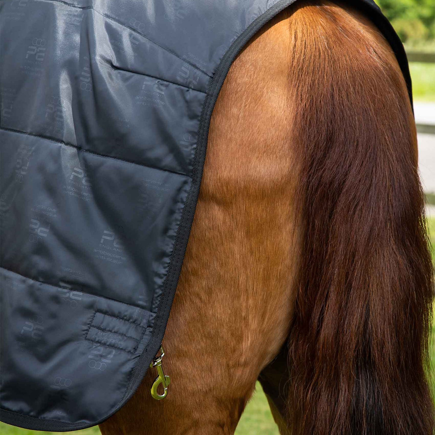 Liner 200g – Doublure de couverture respirante et isolante pour cheval Premier Equine