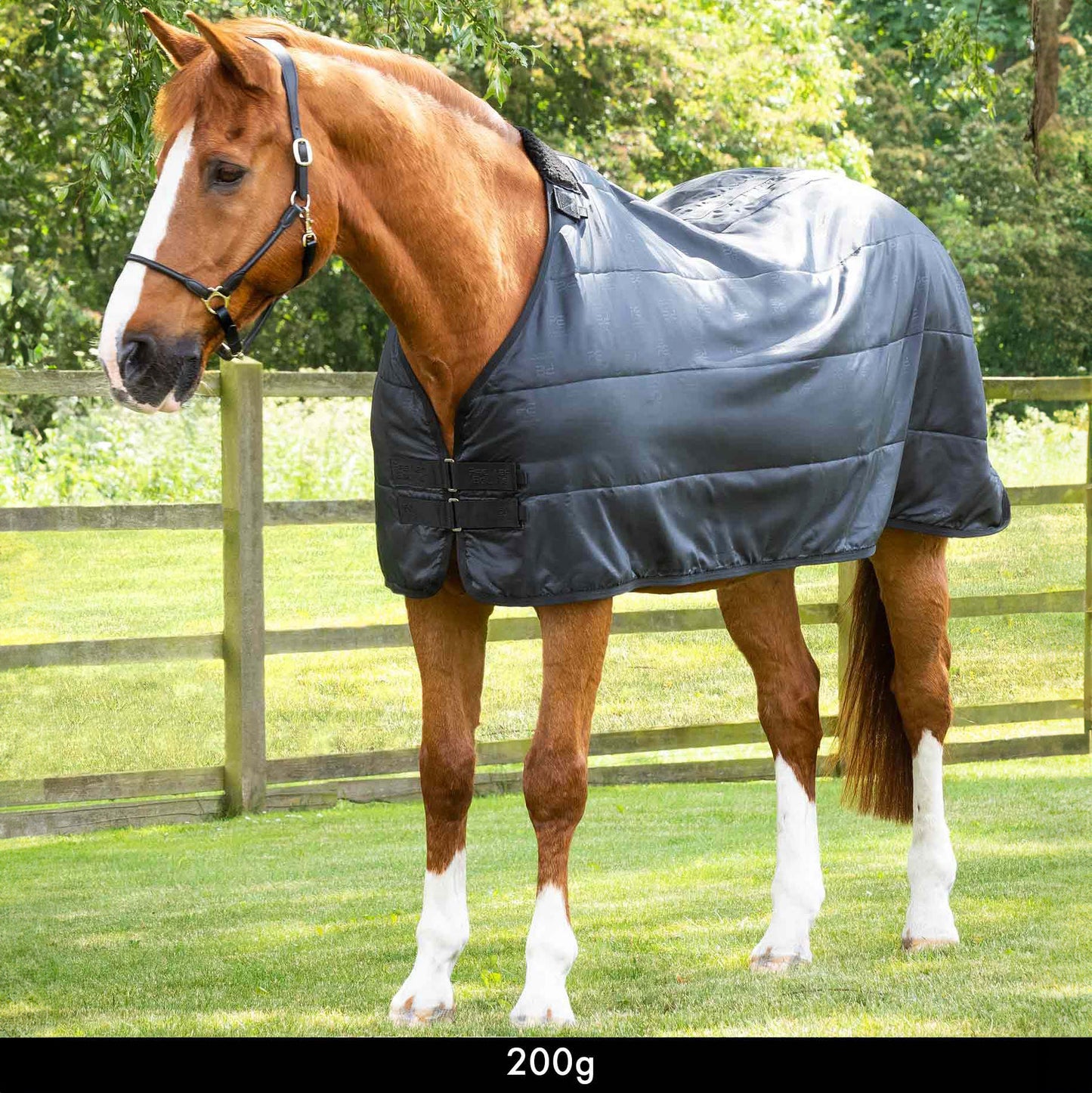 Liner 200g – Doublure de couverture respirante et isolante pour cheval Premier Equine