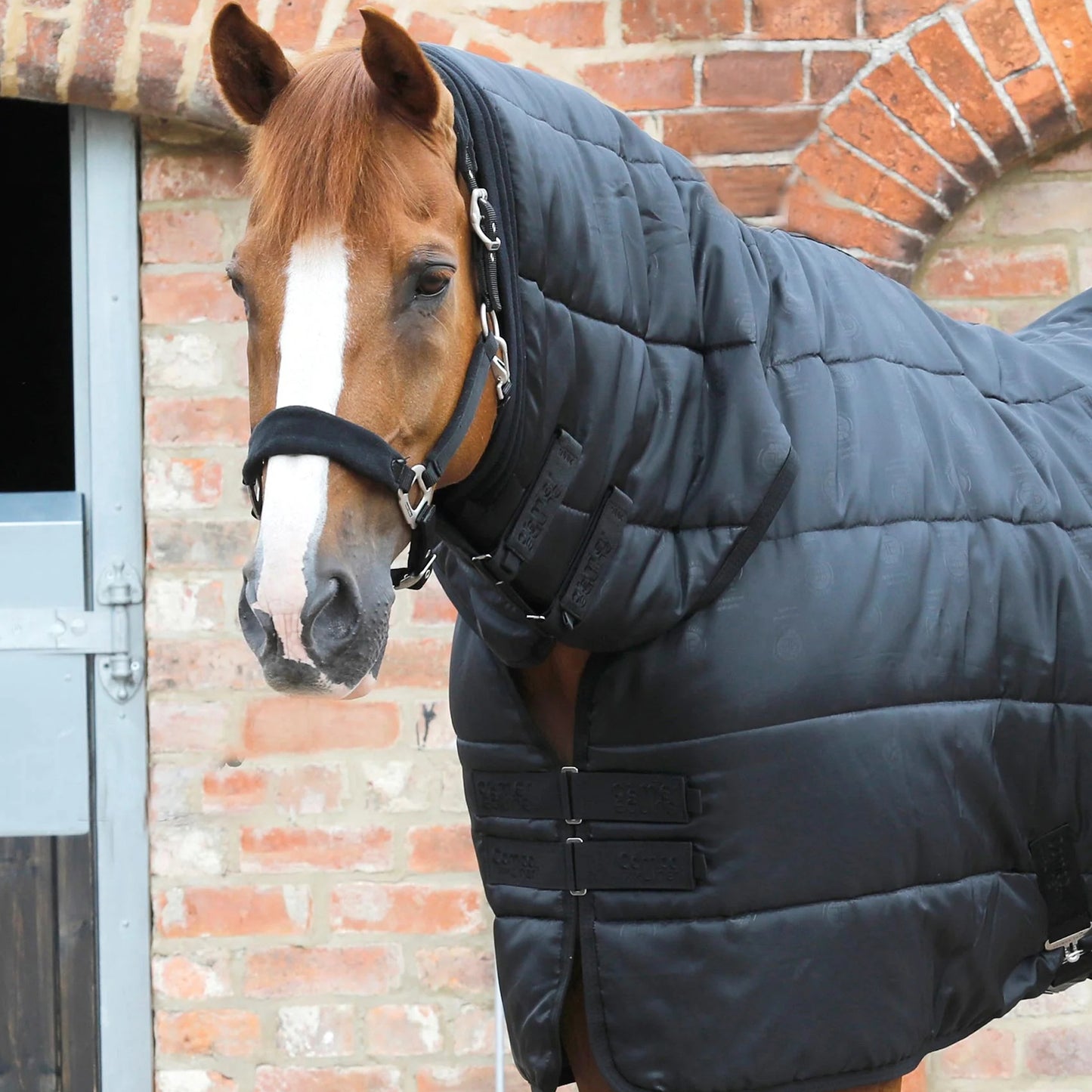 Liner Combo 350g – Sous-couverture chaude et respirante pour cheval Premier Equine