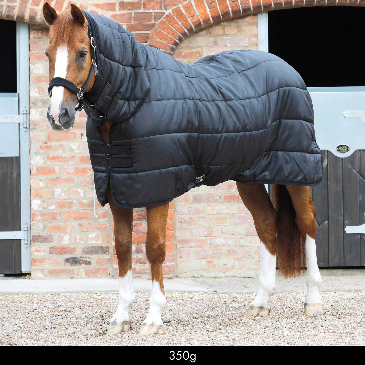 Liner Combo 350g – Sous-couverture chaude et respirante pour cheval Premier Equine