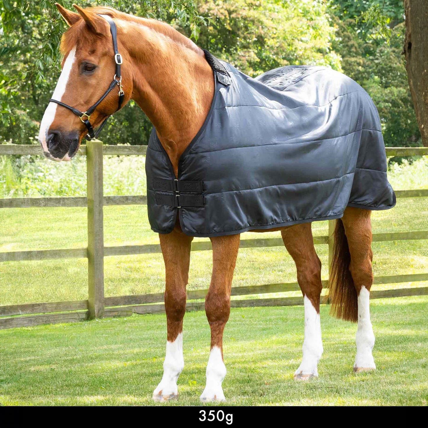 Liner 350g – Doublure matelassée chaude et respirante pour couverture cheval Premier Equine
