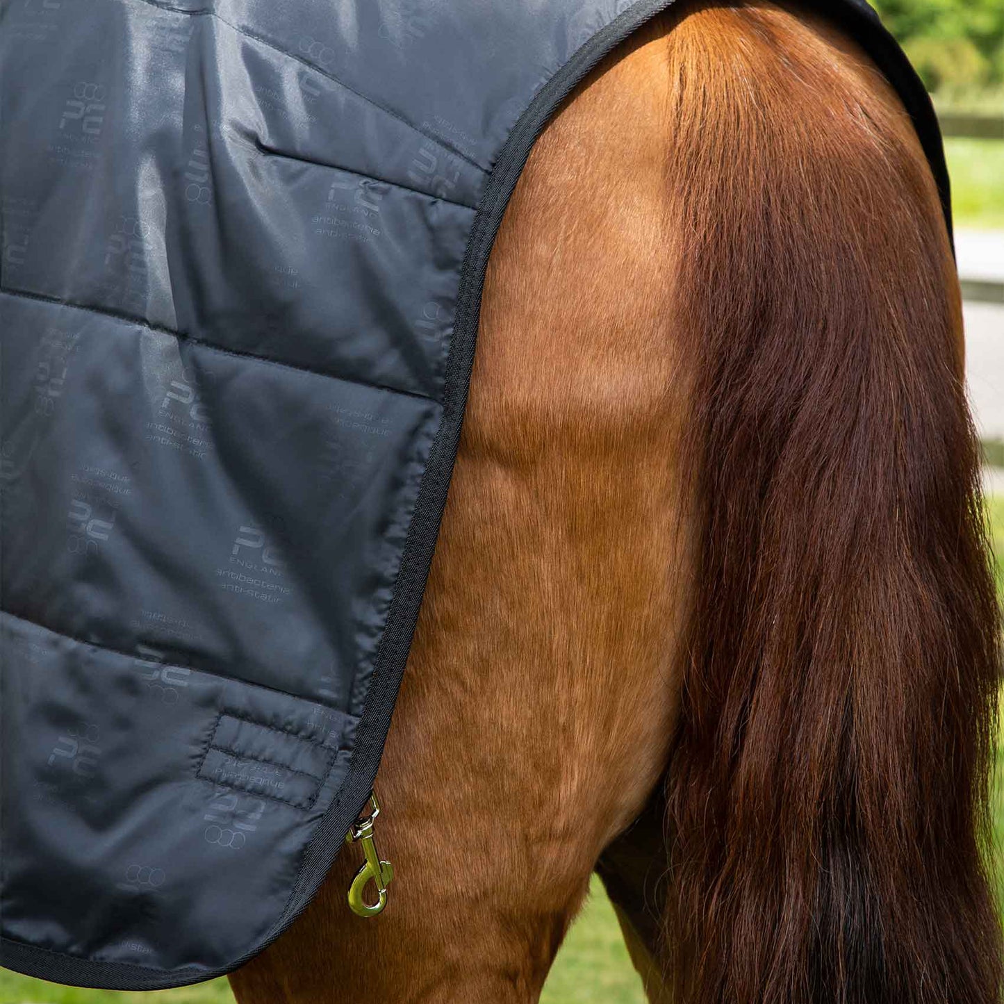 Liner 50g – Doublure légère et respirante pour couverture de cheval Premier Equine