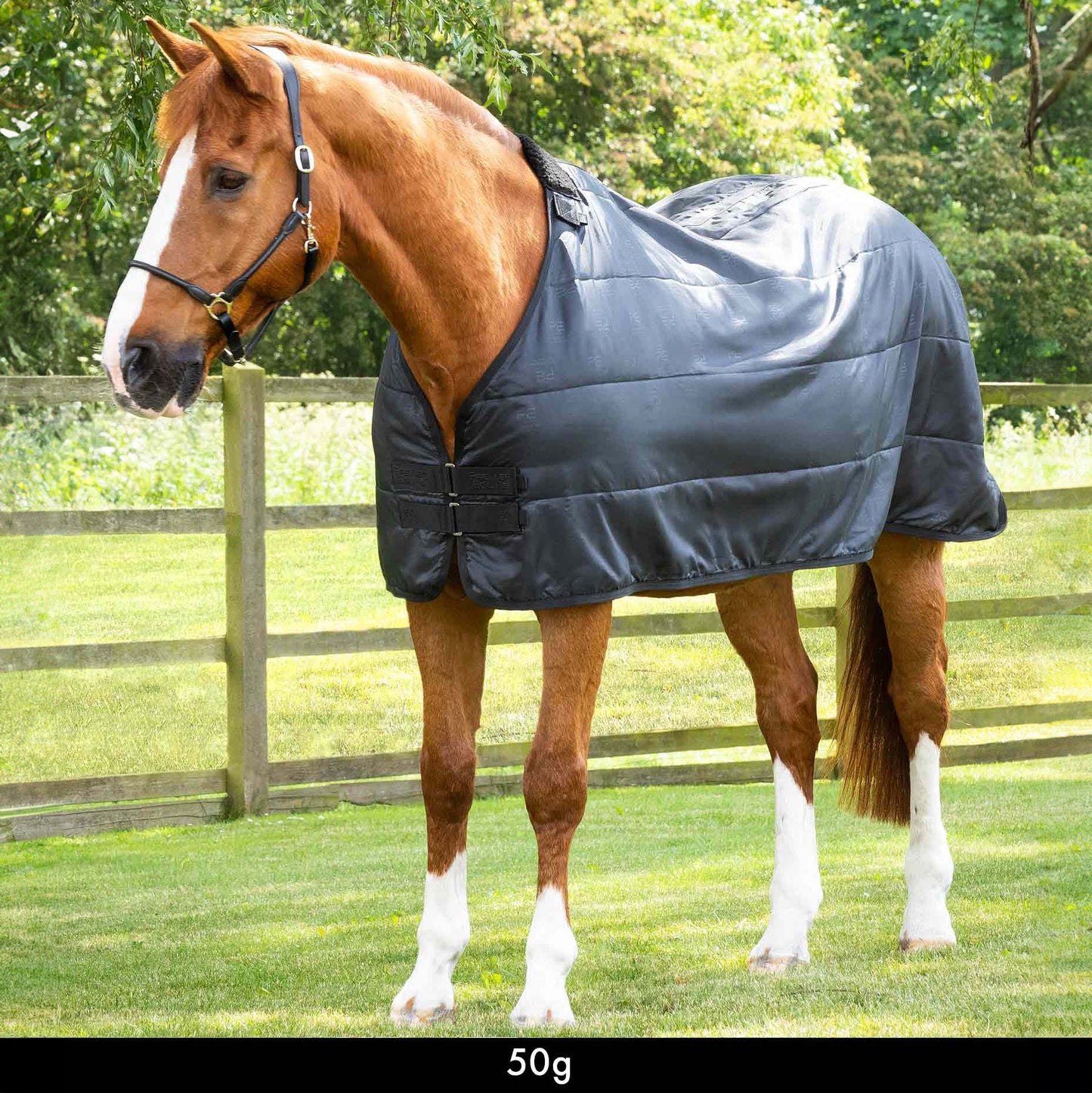 Liner 50g – Doublure légère et respirante pour couverture de cheval Premier Equine