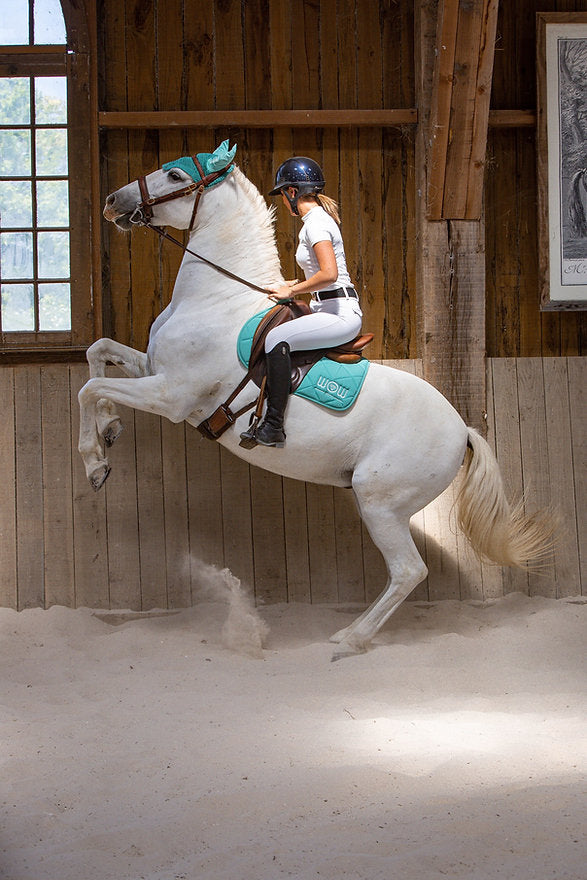 Tapis "HORSE CARE" Turquoise