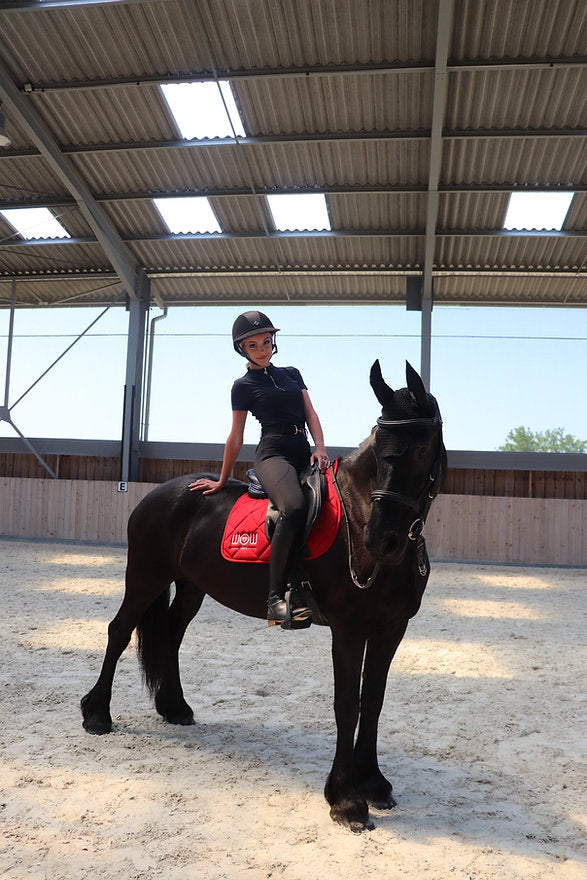 Tapis mixte HORSE CARE – Wow Store Badger Red (rouge vif)