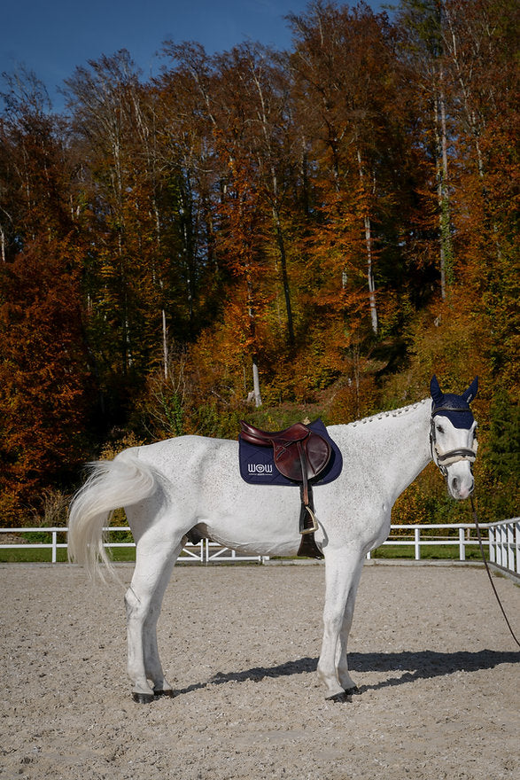 Bonnet court "RILEY" Navy Blue