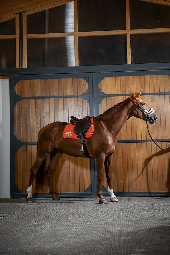 Tapis "HORSE CARE" Sun Orange