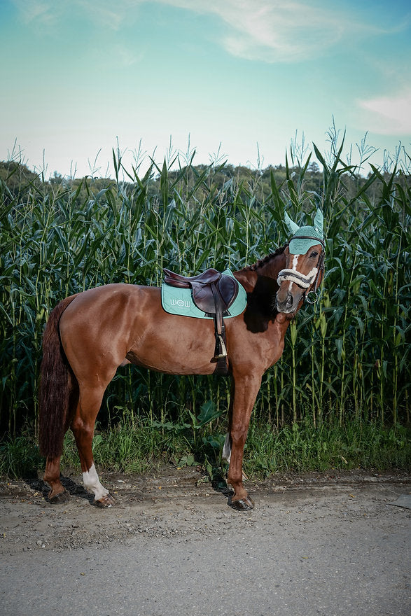Tapis "HORSE CARE" Turquoise