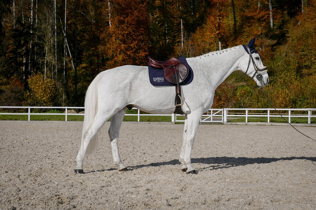 Tapis mixte HORSE CARE – Wow Store Navy Blue (bleu marine)