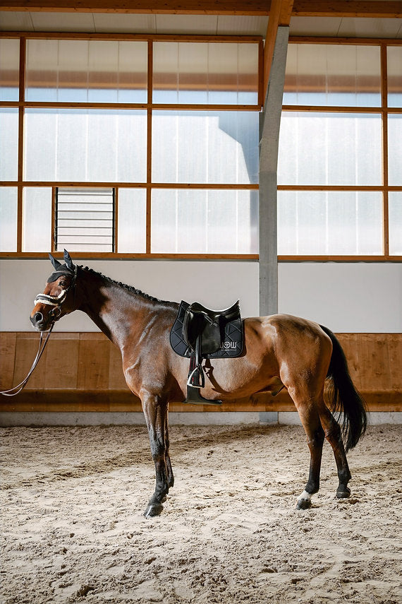 Tapis de dressage noir HORSE CARE – Wow Store Black Beauty