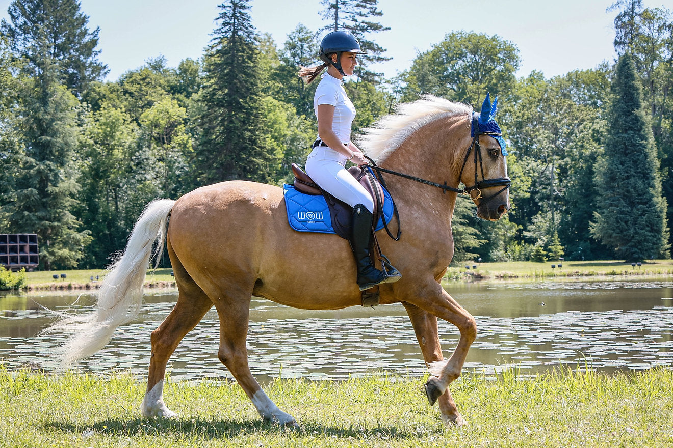 Tapis mixte HORSE CARE – Wow Store Atlantique (bleu atlantique)