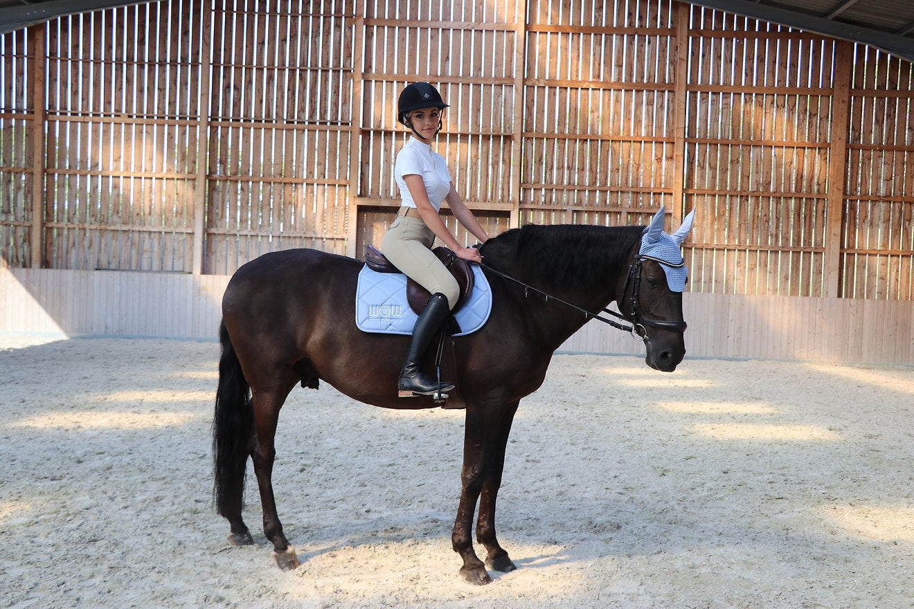 Tapis "HORSE CARE" Pastel Blue