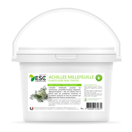 Achillée Millefeuille cheval – Troubles digestifs & hormonaux – ESC Laboratoire