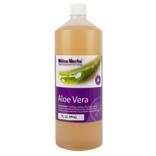 Aloe Vera 2:1 – Soin digestif & cicatrisant naturel pour animaux – Usage interne et externe -  Hilton Herbs