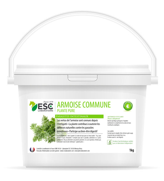 Armoise cheval – Parasites intestinaux et soutien digestif naturel | ESC Laboratoire