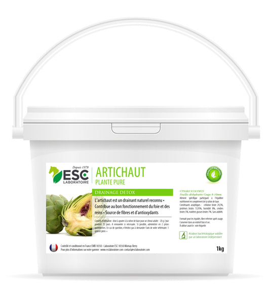 Artichaut cheval – Plante drainante et soutien hépatique naturel – ESC Laboratoire