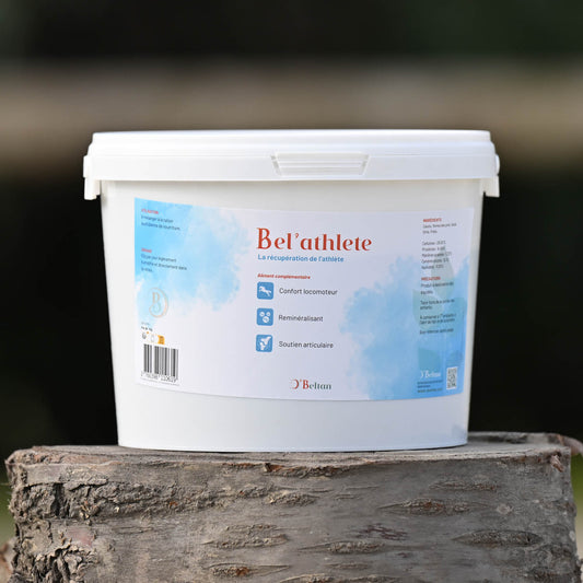 Bel’Athlete O’Beltan – Remède Naturel Efficace contre l’Arthrose chez le Cheval