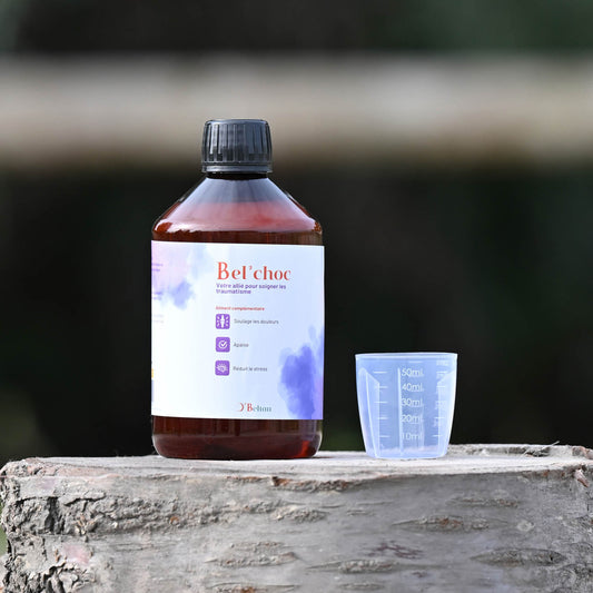 Bel’Choc O’Beltan – Complément Naturel Anti-Stress et Anti-Douleur pour Chevaux | Récupération & Vitalité