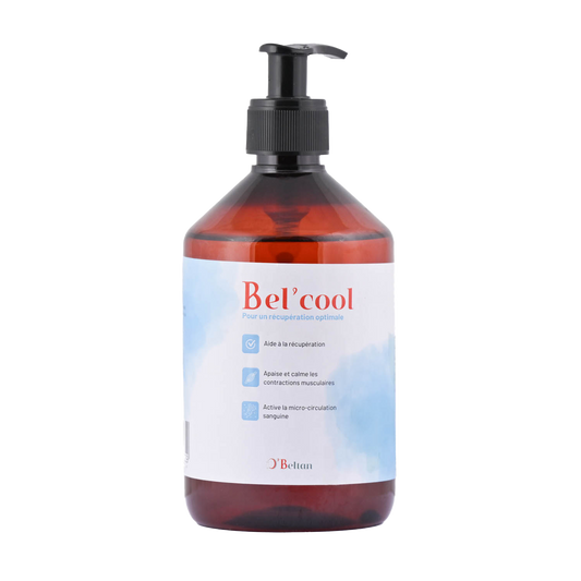 Bel’Cool - Décontractant naturel pour chevaux après l’effort | O’BELTAN