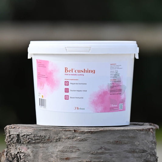 Bel’Cushing O’Beltan – Remède Naturel Efficace pour le Syndrome de Cushing du Cheval