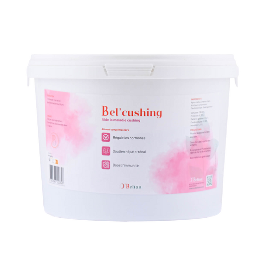 Bel’Cushing O’Beltan – Remède Naturel Efficace pour le Syndrome de Cushing du Cheval