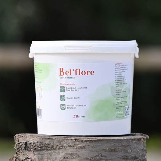 Bel’flore O’Beltan – Complément Probiotiques Naturels pour l’Équilibre Digestif du Cheval