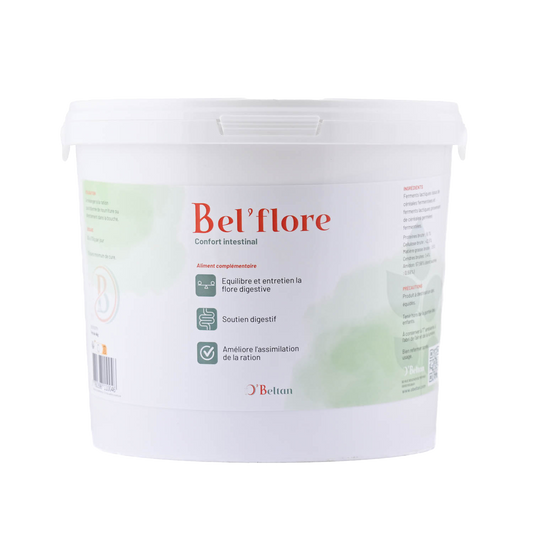 Bel’flore O’Beltan – Complément Probiotiques Naturels pour l’Équilibre Digestif du Cheval