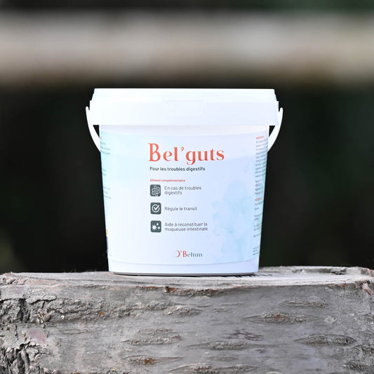 Bel’Guts O’Beltan – Complément Naturel pour Réguler le Transit et Soutenir la Digestion des Chevaux