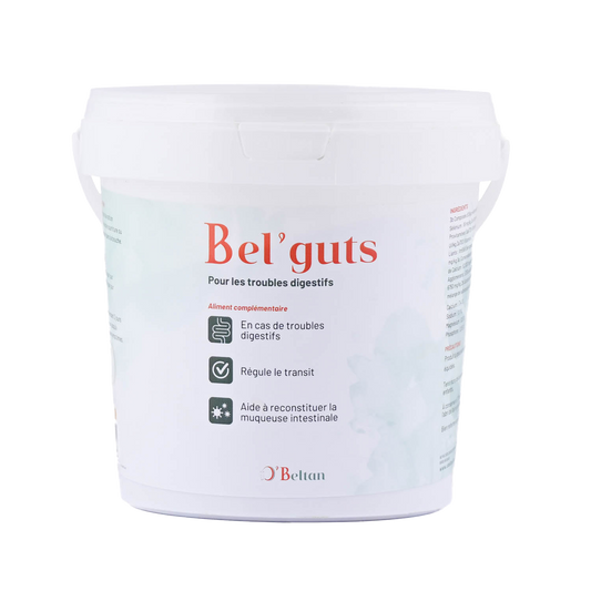 Bel’Guts O’Beltan – Complément Naturel pour Réguler le Transit et Soutenir la Digestion des Chevaux