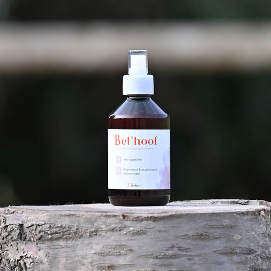Bel’Hoof O’BELTAN – Soin Naturel Fourchettes Pourries Chevaux | Sabots Sains