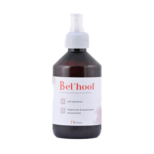 Bel’Hoof O’BELTAN – Soin Naturel Fourchettes Pourries Chevaux | Sabots Sains