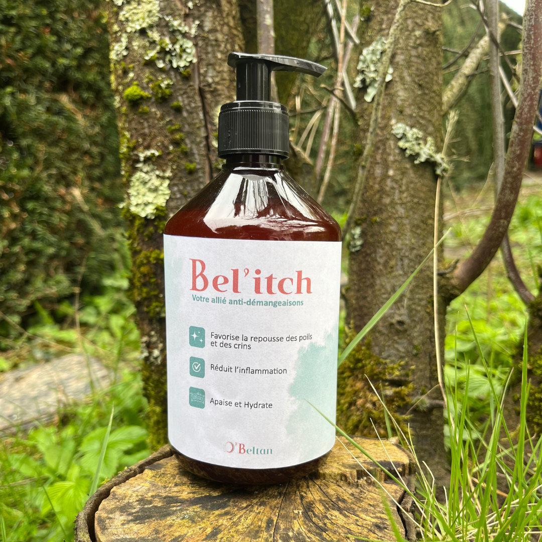 Bel’itch – Anti-démangeaison naturel pour chevaux | Soin apaisant & cicatrisant