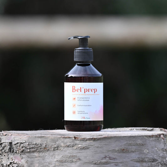 Bel’Prep - Huile de massage naturelle pour préparer les chevaux à l’effort | O’BELTAN