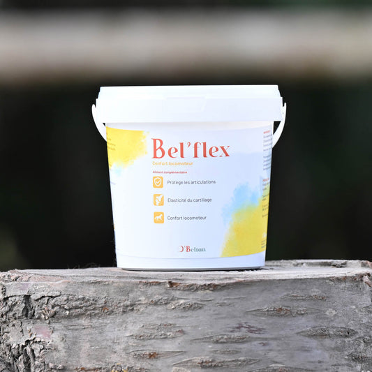 Bel’Flex O’Beltan – Protection Naturelle et Confort pour les Articulations des Chevaux