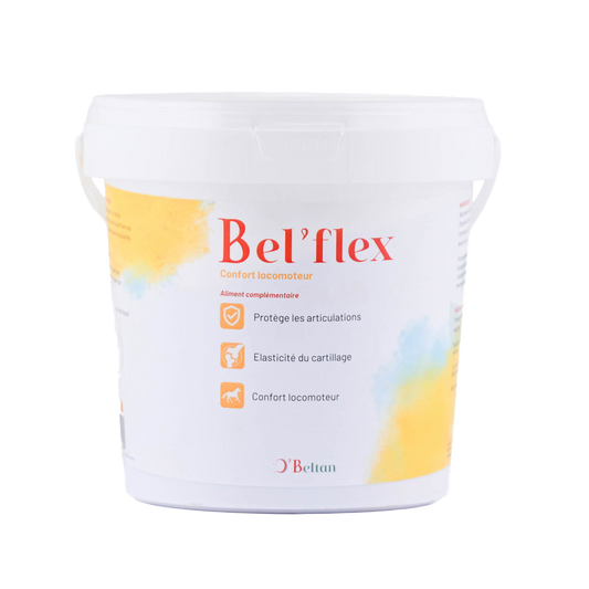Bel’Flex O’Beltan – Protection Naturelle et Confort pour les Articulations des Chevaux