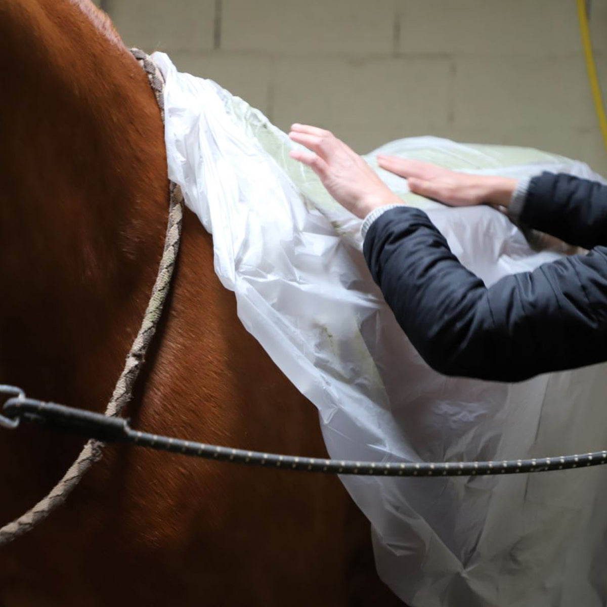 Boue Autochauffante Cavasso – Soin Détox et Récupération Cheval