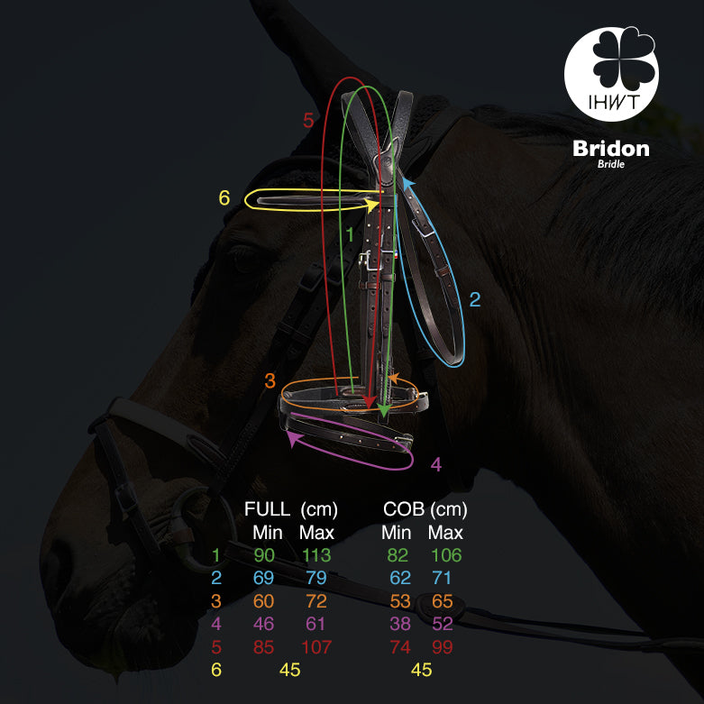 Bridon IHWT Evolution Sans Muserolle – Cuir classique – In horse we trust