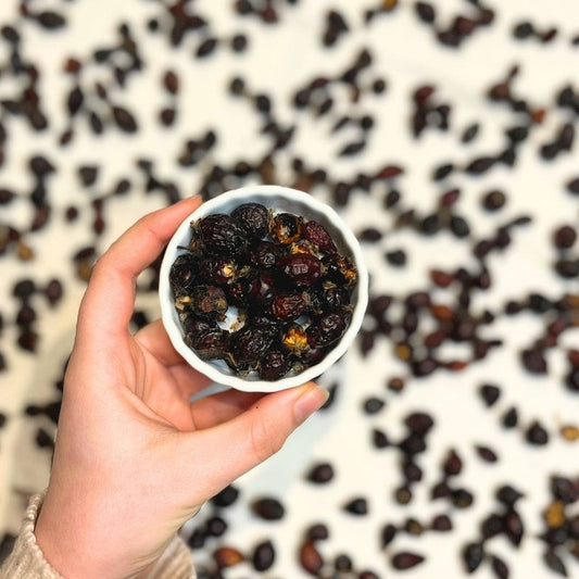 Croustillants de Cynorrhodon Bio – Friandises Naturelles pour Chevaux | EquiNatBio