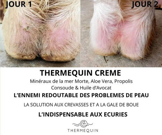 Crème cicatrisante pour peau abîmée cheval – soin naturel | Thermequin