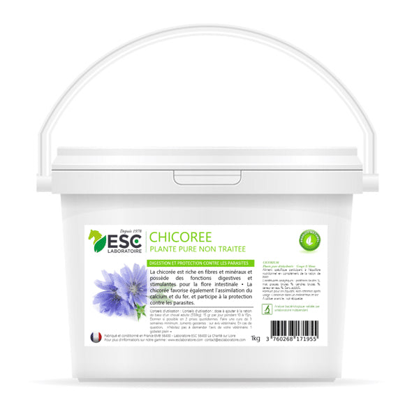 Chicorée – Digestion naturelle et soutien de la flore intestinale chez le cheval – ESC
