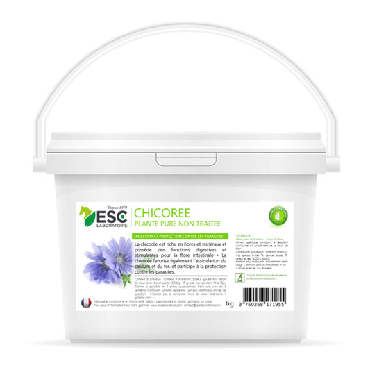 Chicorée – Digestion naturelle et soutien de la flore intestinale chez le cheval – ESC