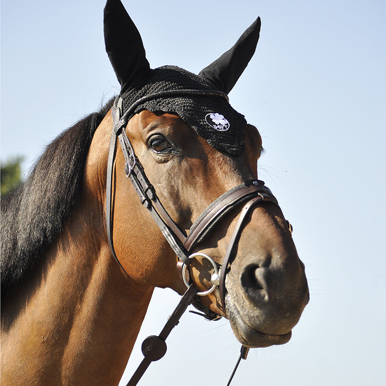 Bridon Evolution IHWT Contact Frontal Disco – Confort et Maintien Optimal pour Chevaux