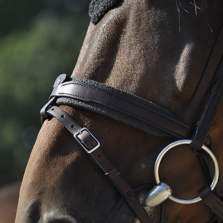 Bridon Evolution IHWT Contact Frontal Disco – Confort et Maintien Optimal pour Chevaux