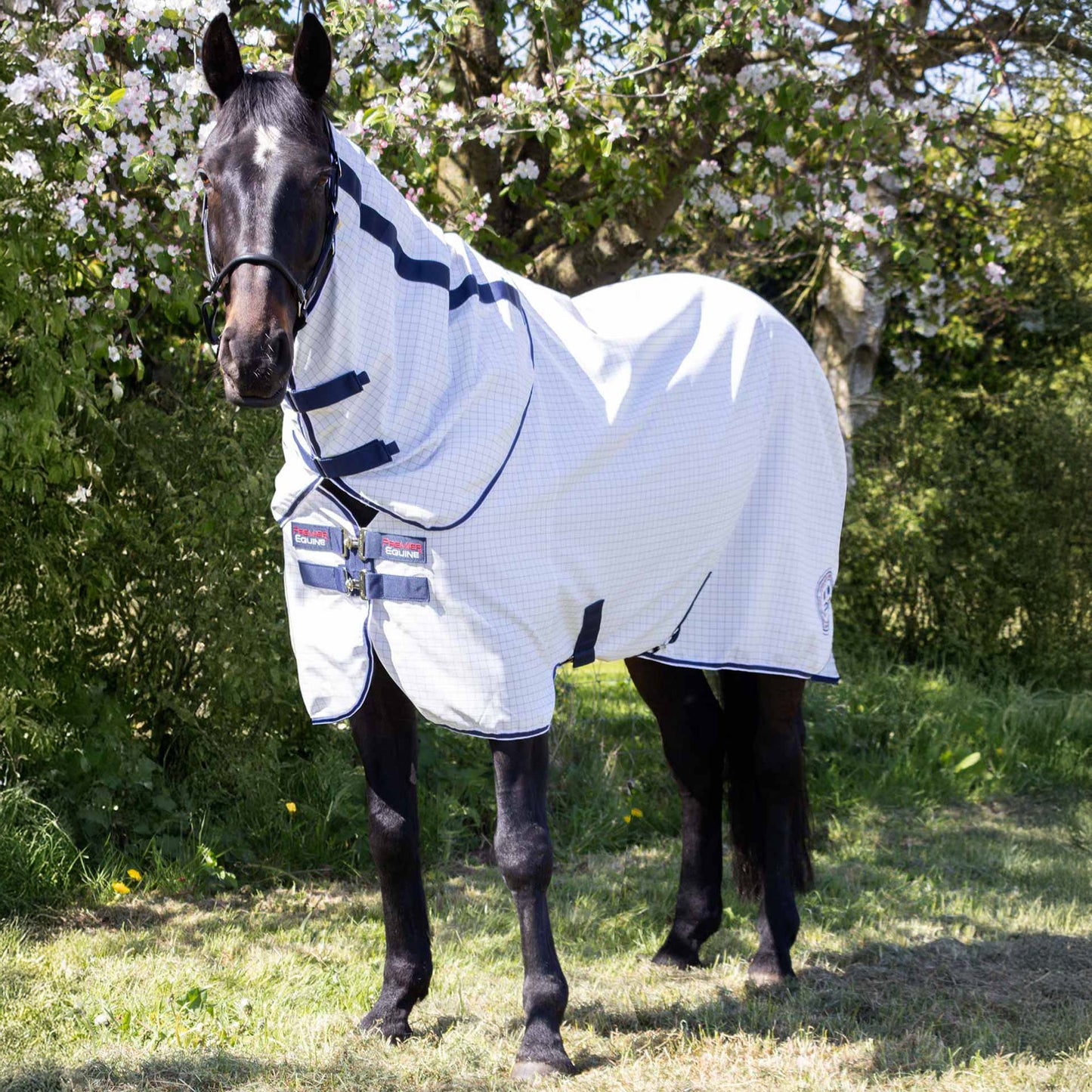 Chemise d’écurie en coton avec couvre-cou