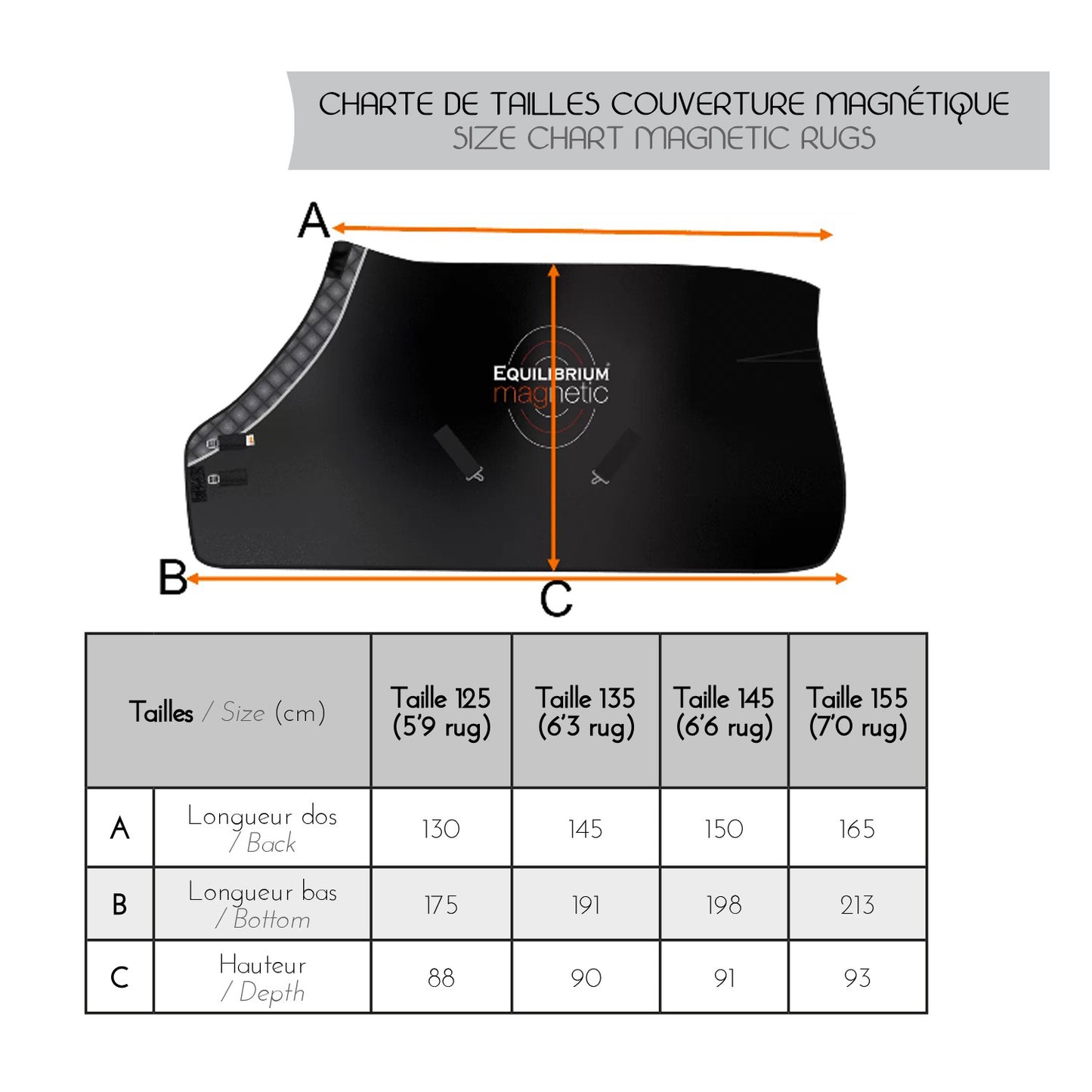 Couverture Magnétique - Soutien articulaire et mobilité cheval | Equilibrium
