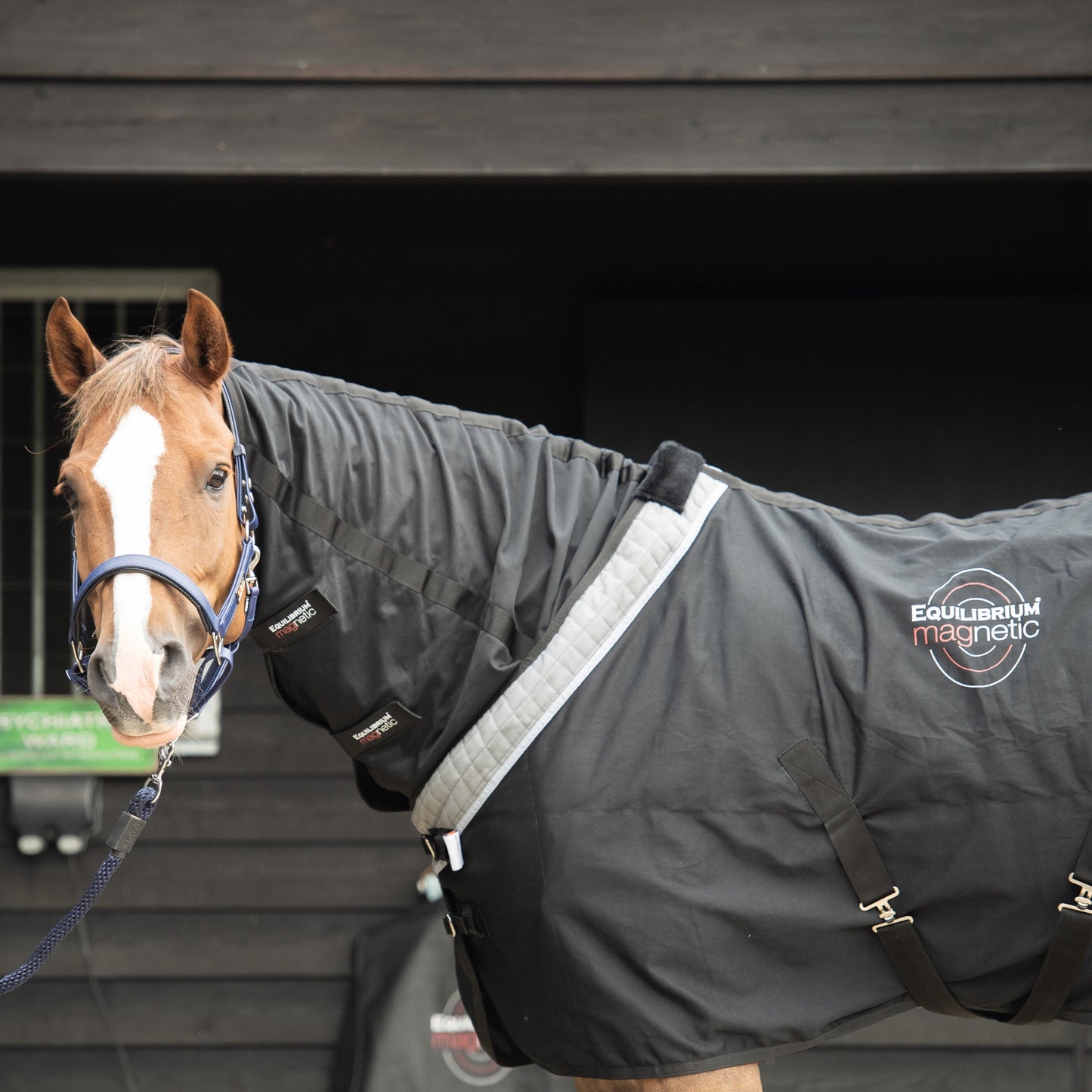 Couverture Magnétique - Soutien articulaire et mobilité cheval | Equilibrium